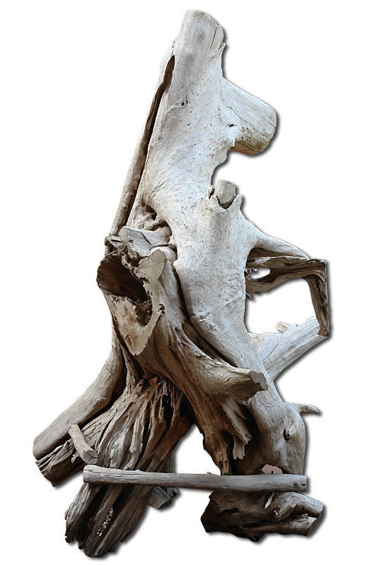 Baumstamm Baumwurzel aus massivem Teakholz Dekoration und Sonstiges Wurzeln